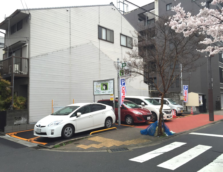 拡大写真